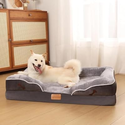 Best deals for everyday items at special prices daily